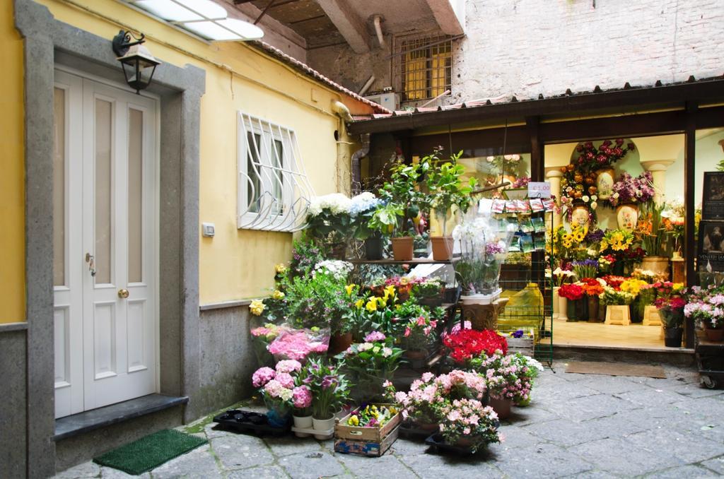 Casa Tonia San Cesareo Apartment Sorrento Bilik gambar